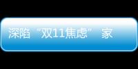 深陷“雙11焦慮” 家電品牌試水直播帶貨