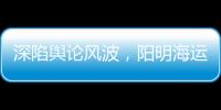 深陷輿論風波，陽明海運發布澄清聲明！