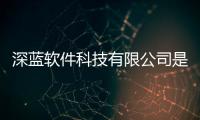 深藍軟件科技有限公司是國企嗎包括深藍軟件科技有限公司的詳細情況