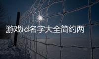 游戲id名字大全簡約兩個字（游戲id名字大全簡約）