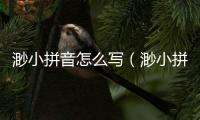 渺小拼音怎么寫（渺小拼音）