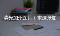 清光加州圖片（求這張加州清光的原圖）