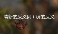 清新的反義詞（稠的反義詞）