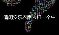 清閑安樂農家人打一個生肖代表什么動物生肖，精準快答揭曉落實