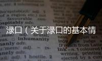 淥口（關于淥口的基本情況說明介紹）