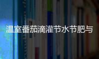 溫室番茄滴灌節水節肥與壟溝寬度最優配方試驗研究