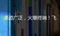 渠道廣泛，火爆終端！飛凰梅子醋果汁飲料火爆招商！