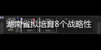 湖南省擬培育8個(gè)戰(zhàn)略性新興產(chǎn)業(yè)