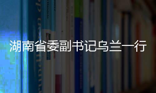 湖南省委副書記烏蘭一行考察醴陵電子,經驗交流