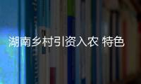 湖南鄉村引資入農 特色產品廣銷海外市場