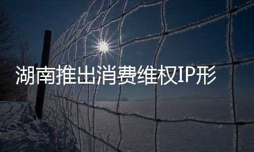 湖南推出消費維權IP形象“湘消寶”