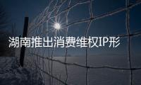 湖南推出消費維權IP形象“湘消寶”