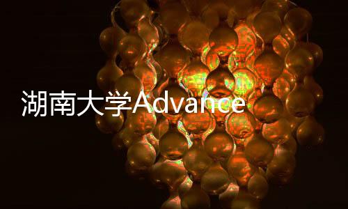 湖南大學(xué)Advanced Materials綜述：硼烯