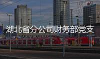 湖北省分公司財務部黨支部寫實調研助推干線運輸降本