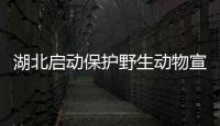 湖北啟動保護野生動物宣傳月活動