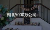 湖北5000萬公司