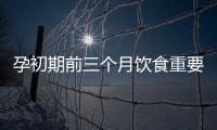 孕初期前三個月飲食重要嗎