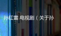 孫紅雷 電視劇（關于孫紅雷 電視劇的基本情況說明介紹）