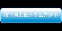 孩子智力低下怎么辦還不愛學習（孩子智力低下怎么辦）