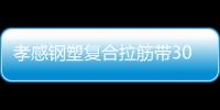 孝感鋼塑復合拉筋帶30020B價格