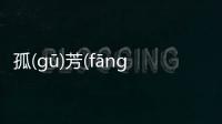 孤(gū)芳(fāng)自(zì)賞(shǎng)網(wǎng)友是如何評(píng)論的！