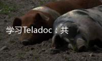 學習Teladoc：共同生產健康服務模型、努力賣出去