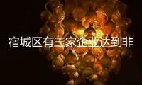 宿城區(qū)有三家企業(yè)達(dá)到非國(guó)有大中型企業(yè)標(biāo)準(zhǔn),行業(yè)資訊
