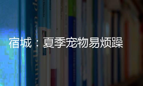 宿城：夏季寵物易煩躁 市民謹防被抓傷