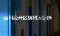 宿州經開區植樹添新綠  為“二次創業”充“植”綠色能量