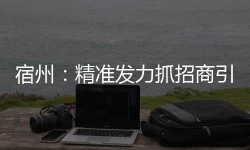 宿州：精準(zhǔn)發(fā)力抓招商引資 強化服務(wù)促項目落地