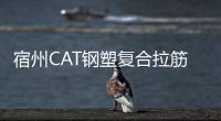 宿州CAT鋼塑復合拉筋帶廠家采購供應