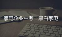 家電企業中考：黑白家電成為“難兄難弟”