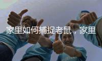 家里如何捕捉老鼠，家里捕捉老鼠的方法