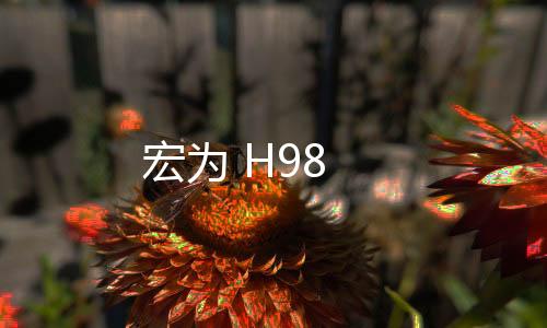 宏為 H98