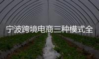 寧波跨境電商三種模式全覆蓋 單月訂單量連破百萬(wàn)