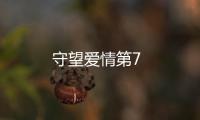 守望愛情第7