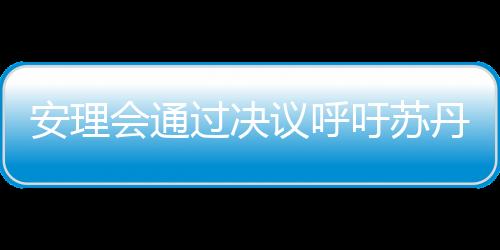 安理會通過決議呼吁蘇丹沖突各方在齋月期間停止敵對