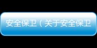 安全保衛（關于安全保衛的基本情況說明介紹）