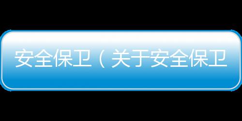 安全保衛（關于安全保衛的基本情況說明介紹）