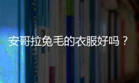 安哥拉兔毛的衣服好嗎？ 安哥拉兔毛值錢嗎