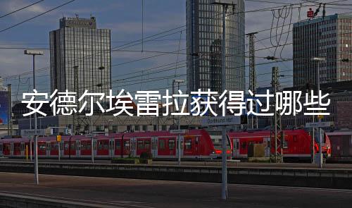 安德爾埃雷拉獲得過哪些榮譽？安德爾埃雷拉獲獎記錄介紹