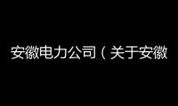 安徽電力公司（關于安徽電力公司的基本情況說明介紹）