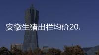 安徽生豬出欄均價20.69元/公斤，價格較昨日下跌