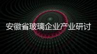 安徽省玻璃企業產業研討會開幕,行業資訊