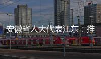 安徽省人大代表江東：推動新能源汽車產業集群發展