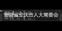 安徽省安慶市人大常委會原黨組副書記、副主任王華一審獲刑10年零6個月