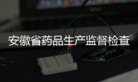 安徽省藥品生產監督檢查信息通告（2024年2月）