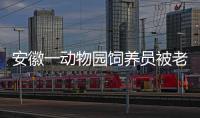 安徽一動物園飼養員被老虎襲擊不治身亡 官方回應