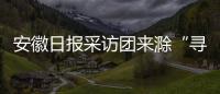 安徽日報采訪團來滁“尋夢和美鄉村”_