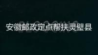 安徽郵政定點幫扶靈璧縣直播基地建設